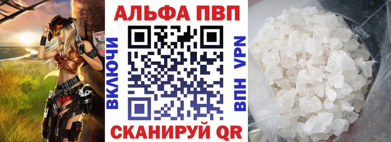 A PVP СК КРИС  Холм 