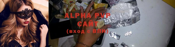 хмурый Абаза