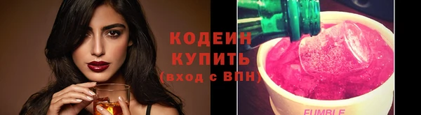 хмурый Абаза