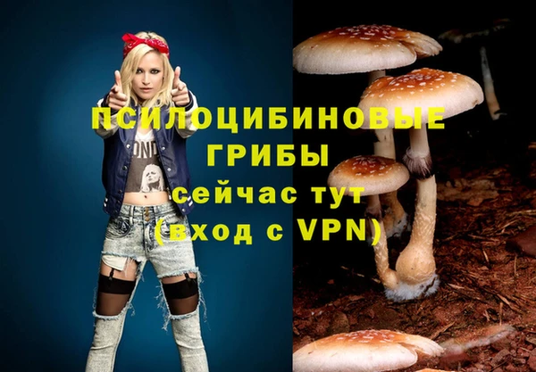 СК Абинск