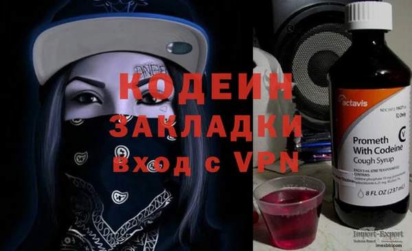 хмурый Абаза
